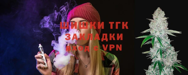 индика Зерноград
