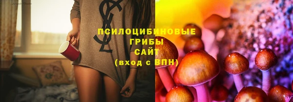 крисы Заволжск