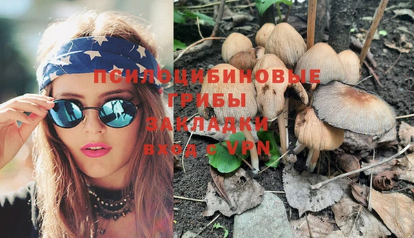 индика Зерноград