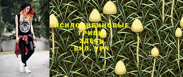 спиды Заволжье
