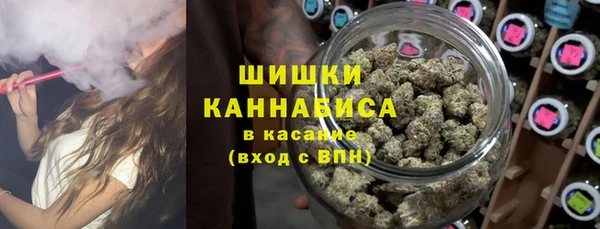 МДМА Заводоуковск