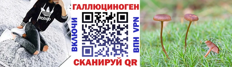 mega ссылки  Каргополь  Псилоцибиновые грибы Magic Shrooms 